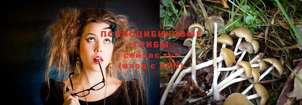 apvp Заводоуковск