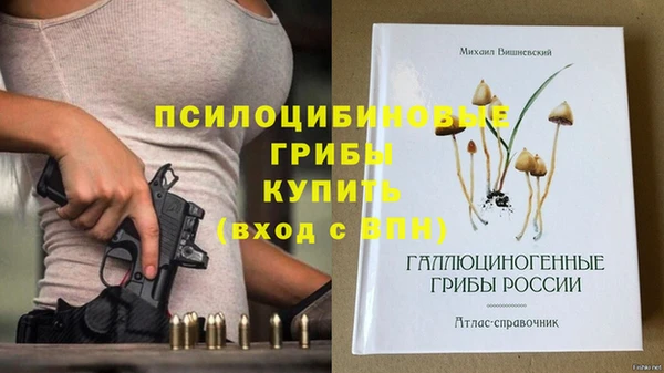 apvp Заводоуковск