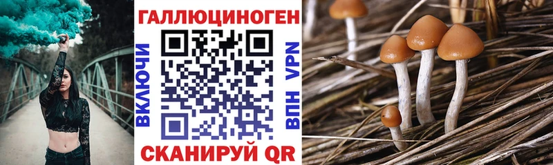 Купить где  Гусиноозёрск  Галлюциногенные грибы мухоморы 